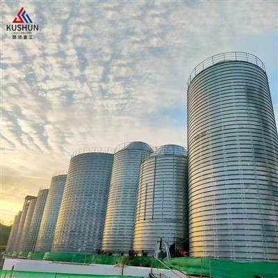 Paddy Rice Storage Steel Silo